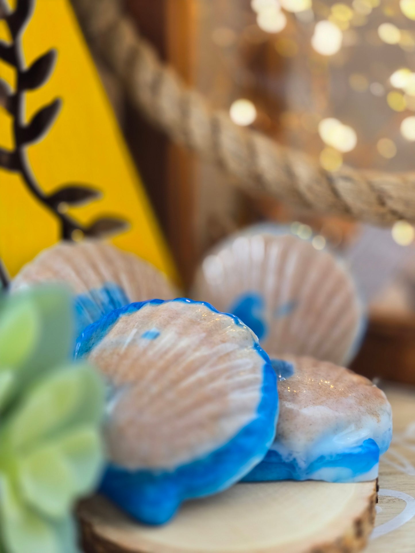 Seashell Soap