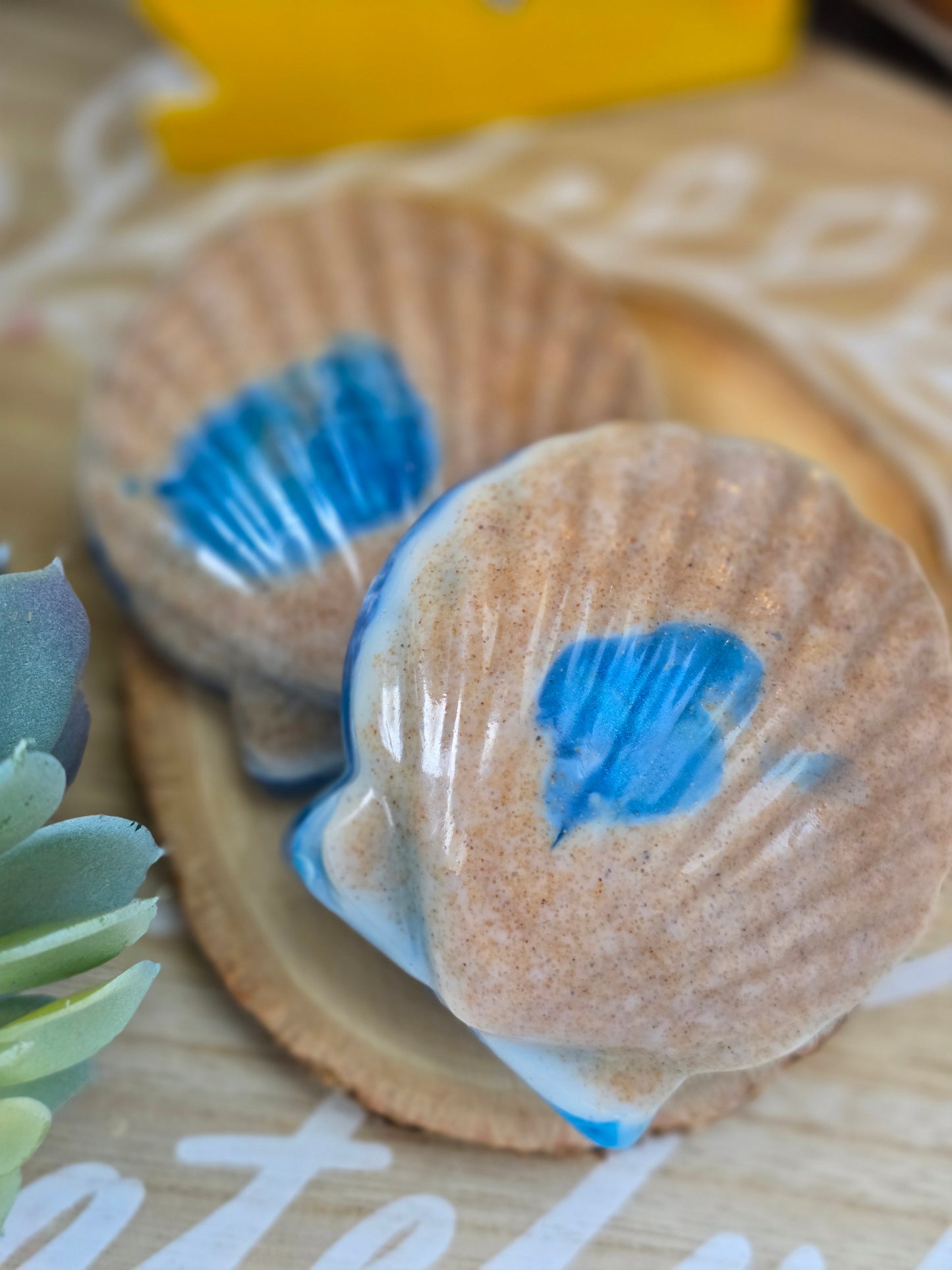 Seashell Soap