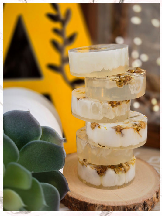 Coconut and Aloe Refresh Soap (Each Bar)