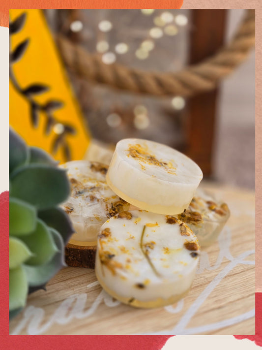 Coconut and Aloe Refresh Soap (Each Bar)